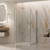 Box doccia Doppia Porta in angolo ANDALO DUO